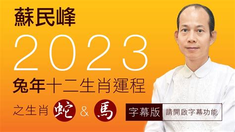 蘇民峰2023運程書pdf下載